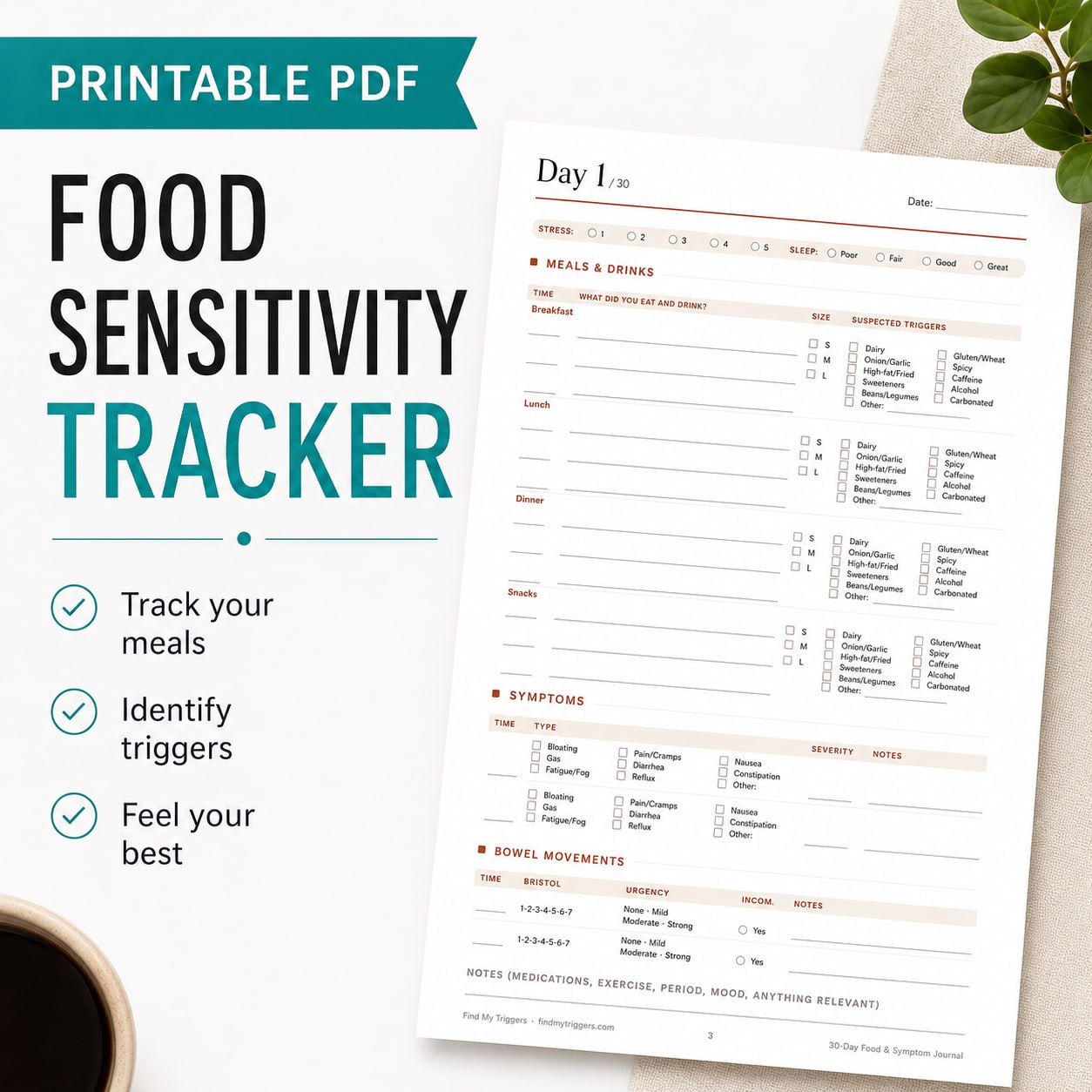 Preview of the printable 30-day IBS food and symptom journal